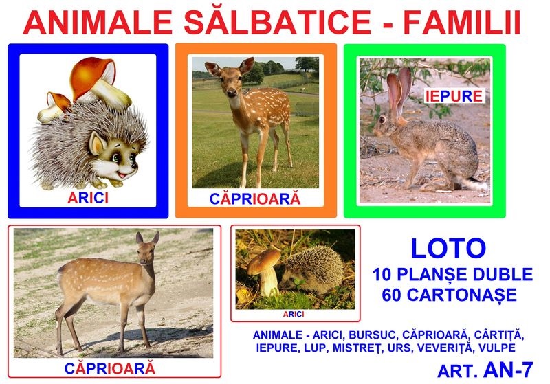 AN-7 Joc Loto Animale sălbatice