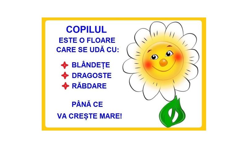 D17-C87 Citat (A3 laminat)