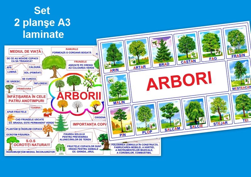 Arbori PT-7