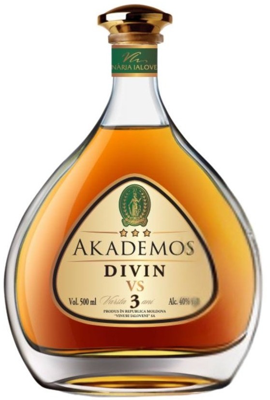 Ialoveni Akademos Divin 3 Ani