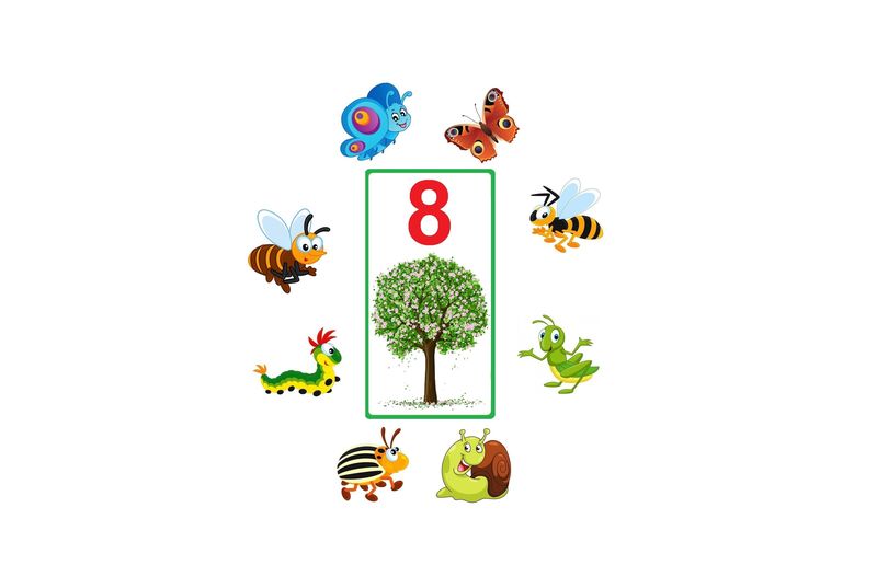 IN-15 Joc cu jetoane Insecte