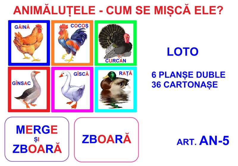 AN-5 Joc Loto Animăluţele şi cum se mişcă ele