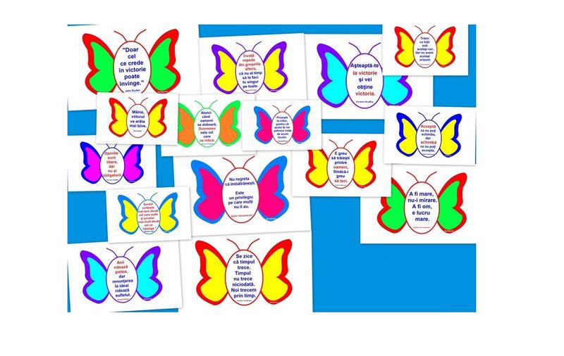 D17-S2 Set 15 citate (A3, laminat)