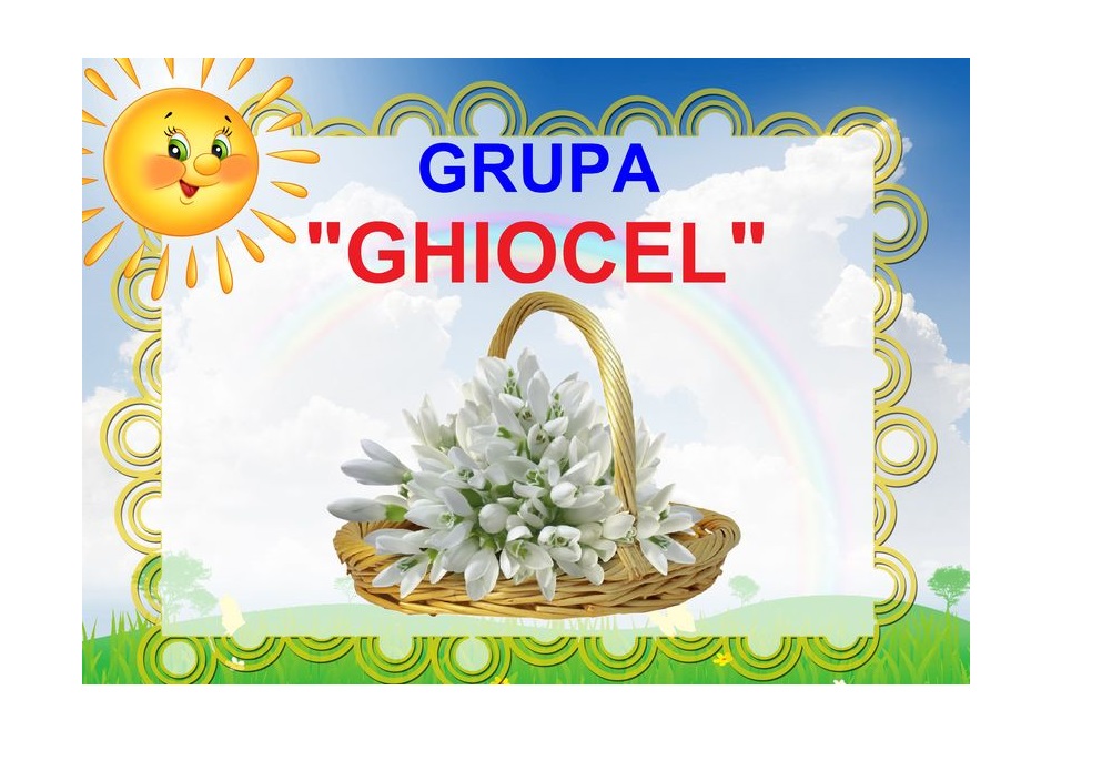 D9-24.2 Ghiocel (A4)