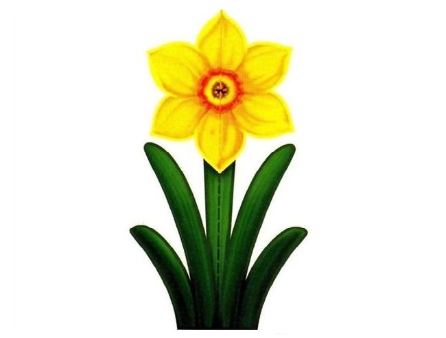 Aplicaţie 4D - Narcisă galbenă art.AP-14