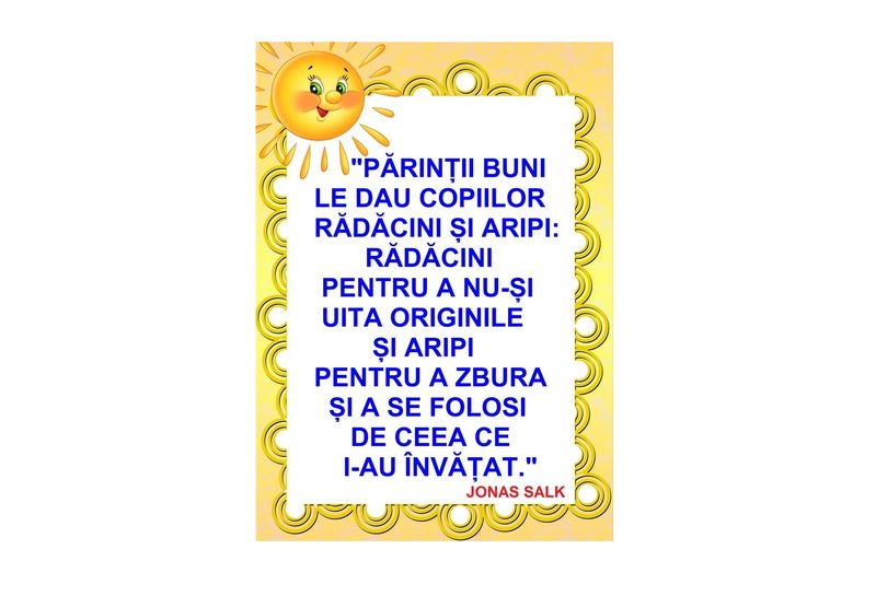D17-C14 Citat (A3 laminat)