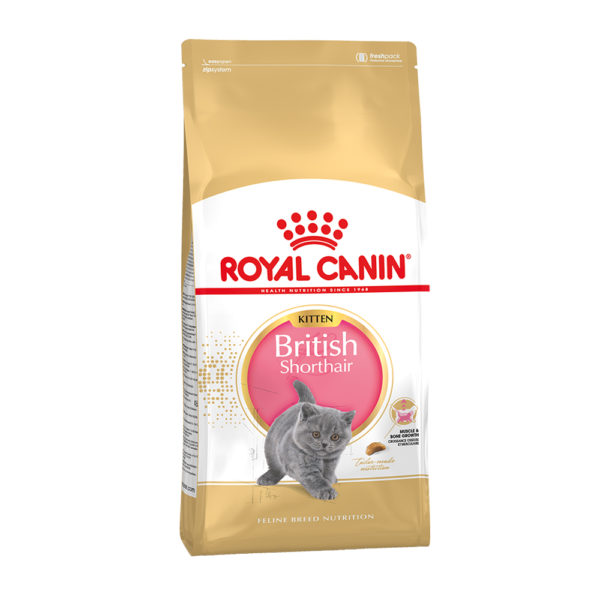 ROYAL CANIN British Shorthair Kitten 2kg, hrană uscată pentru pisoi
