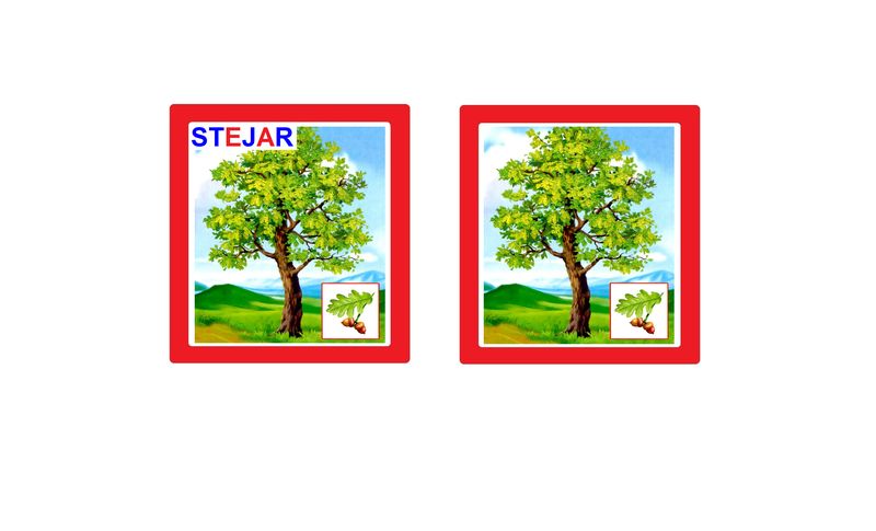 CO-3.1 Joc cu cleşte Arbori (4+)