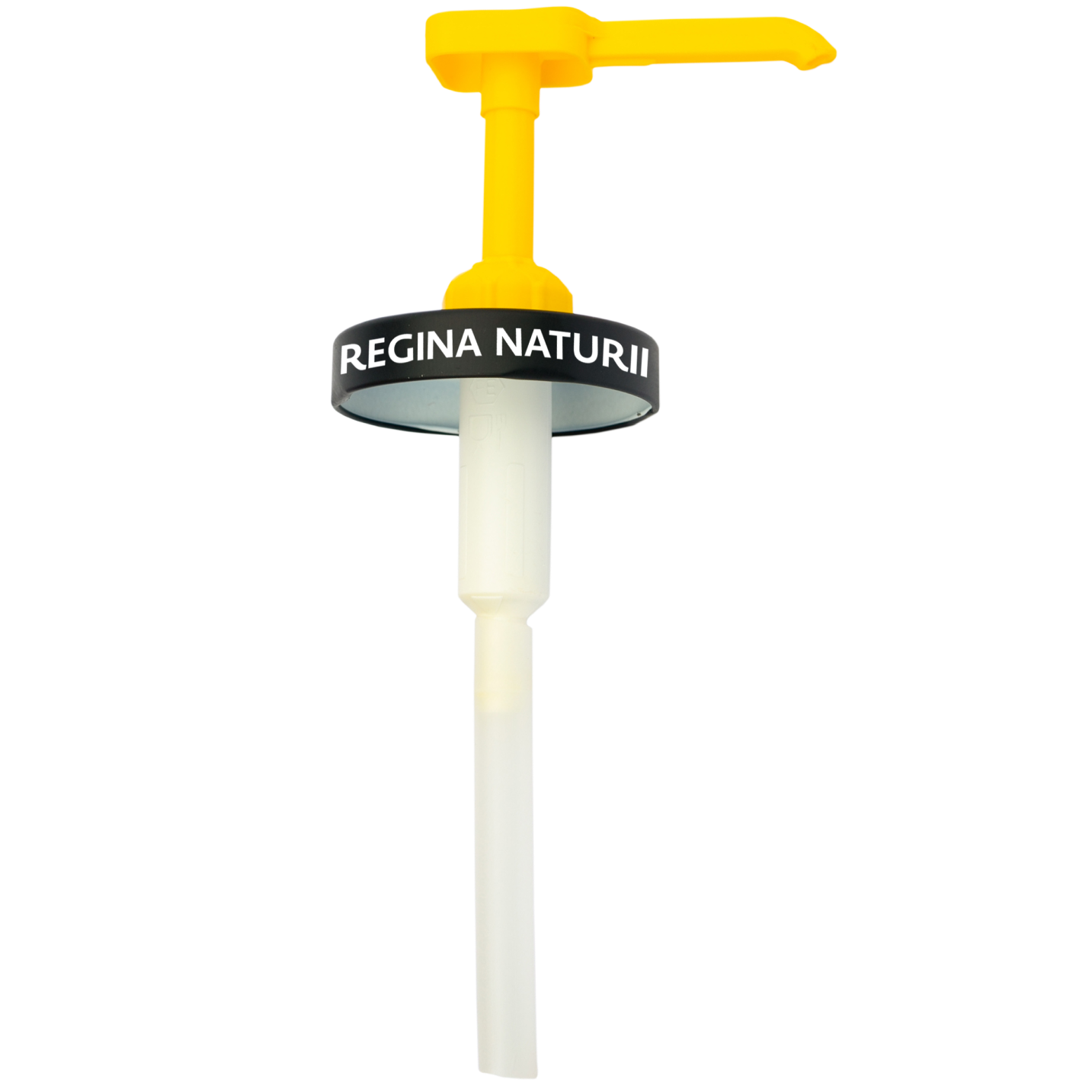 Pompă Miere Pentru Borcan, Cu Capac 4 Unitați Regina Naturii