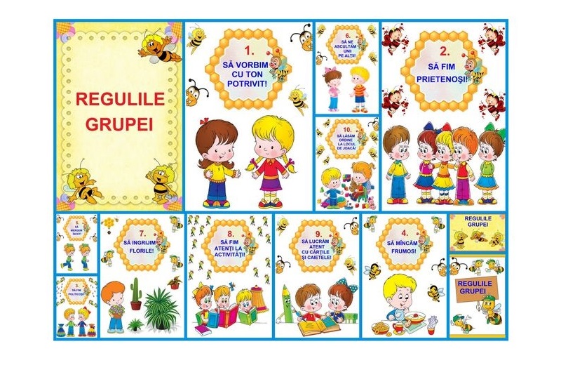 D7-3.1 Regulile grupei (A4)