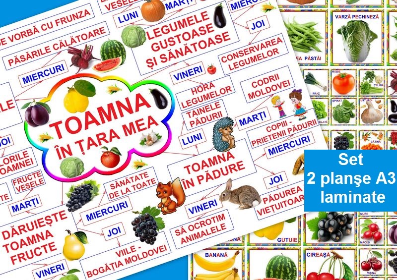 Toamna în Ţara mea  PT-35
