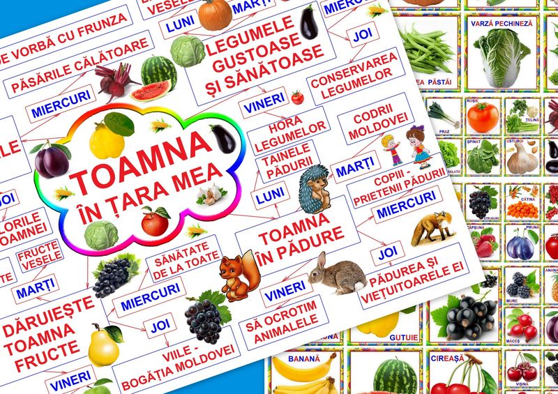 Toamna în ţara mea PT-35