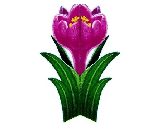 Aplicaţie 4D - Brănduţă art.AP-11