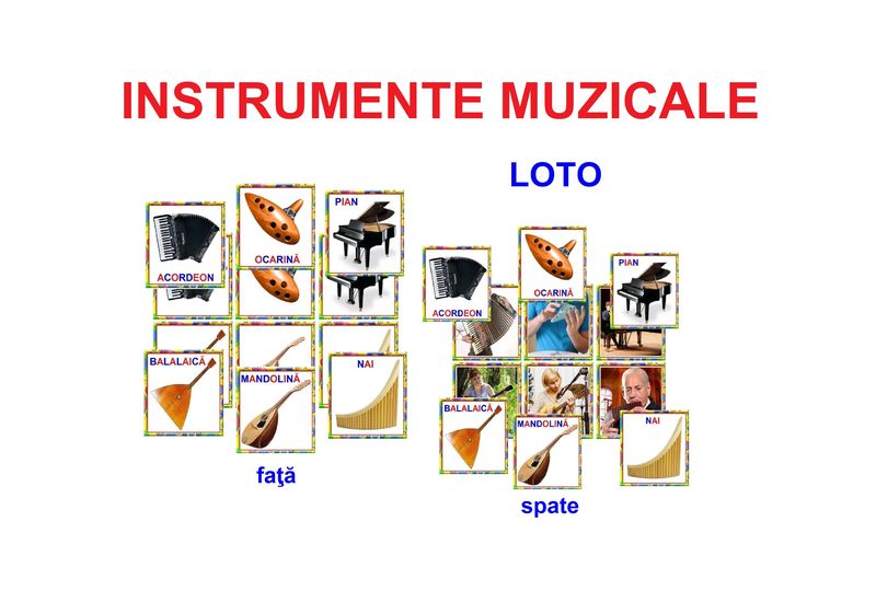 MZ-1 Joc Loto Instrumente muzicale