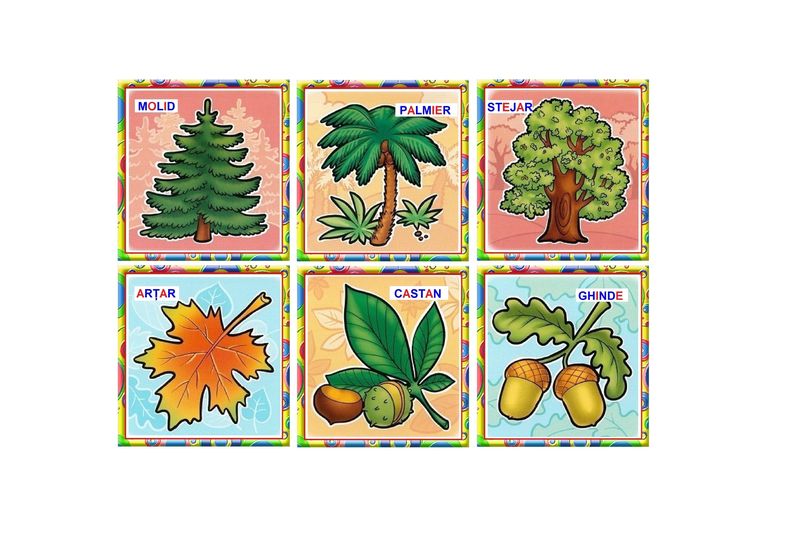 CO-1 Joc Loto Copaci şi flori (3+)