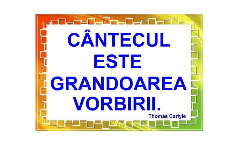 D17-C29 Citat (A3 laminat)