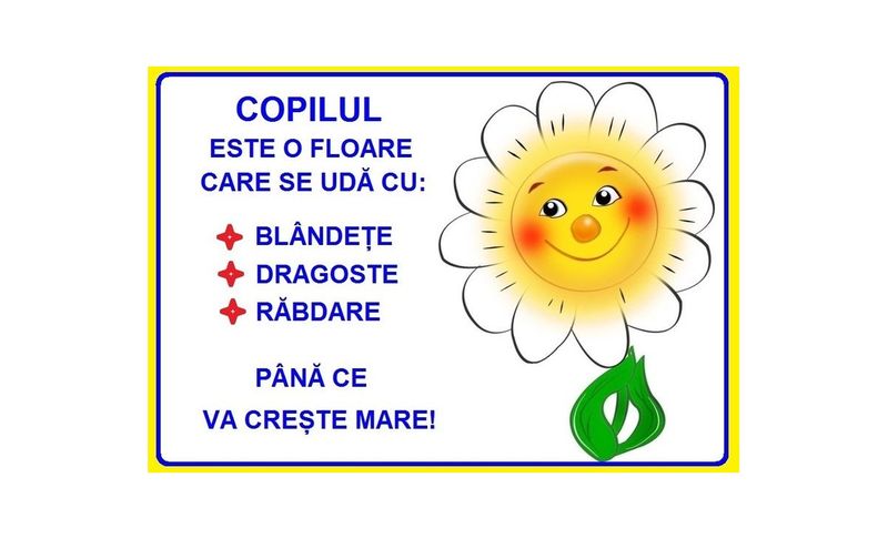 D17-C86 Citat (A3 laminat)