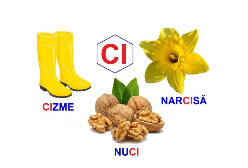 L-238 Loto Logopedie animată Grupul de sunete CI