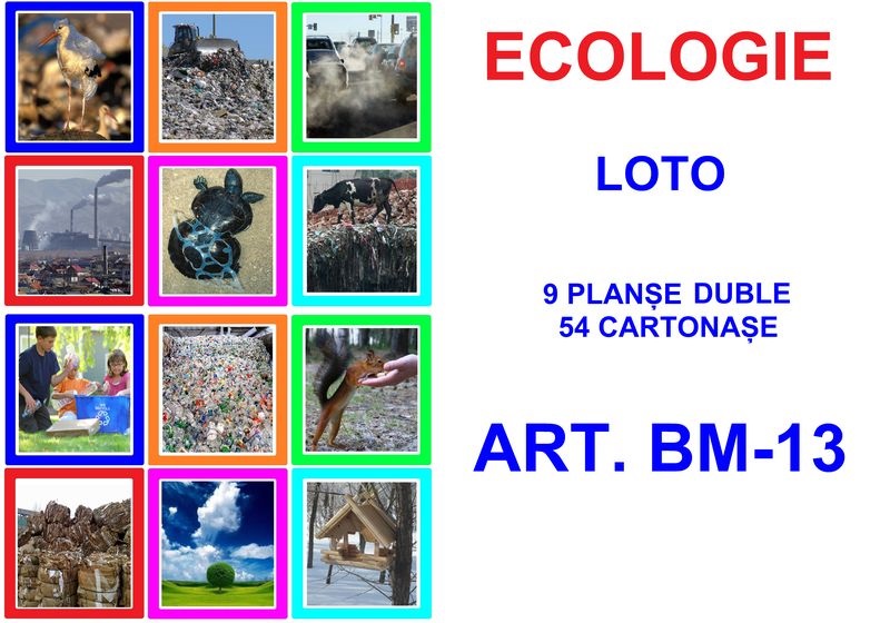 BM-13 Joc Loto Ecologie