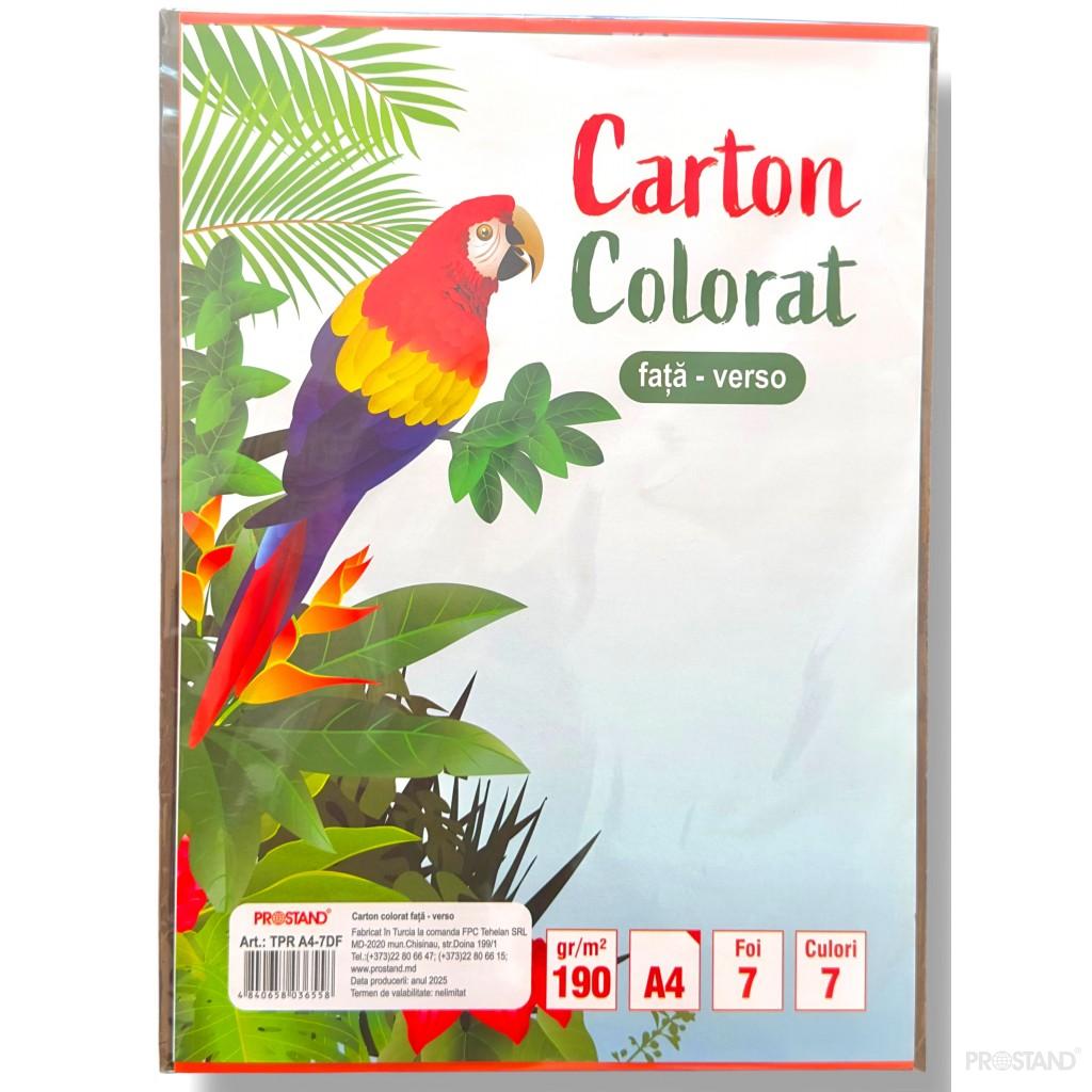 PROSTAND Carton colorat fata-verso 7 foi 7 culori A4 TPR A4-7DF /5