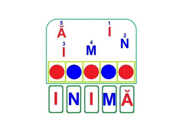 OM-32 Joc cu cleşte Organele interne ale omului
