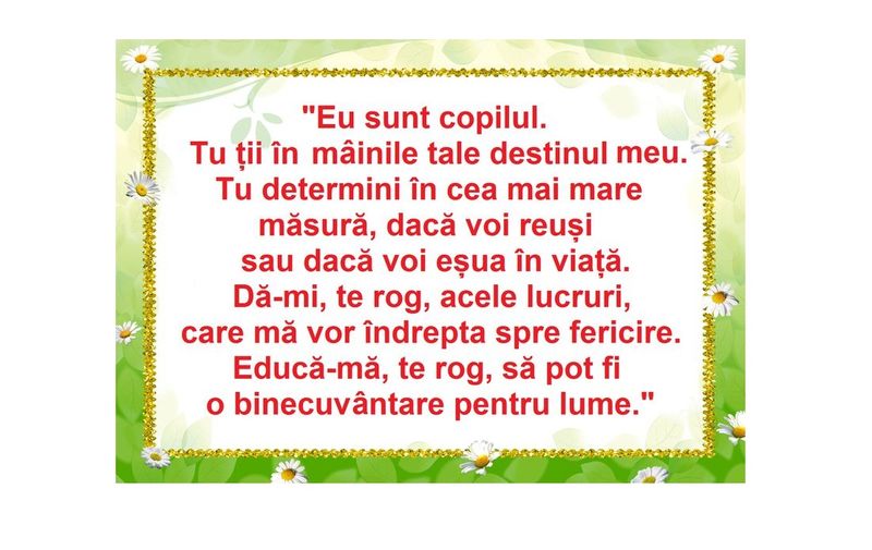 D17-C45 Citat (A3 laminat)