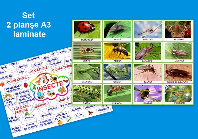 Insecte PT-20