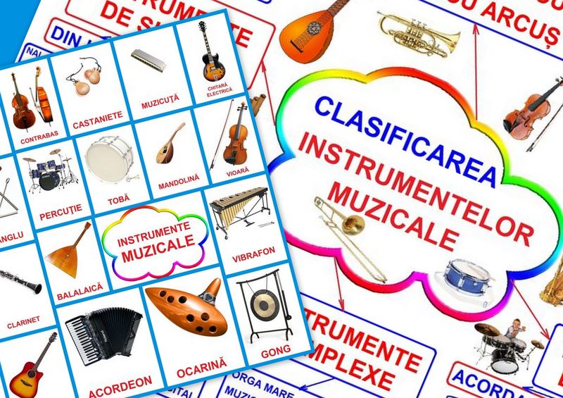 Instrumente muzicale PT-194