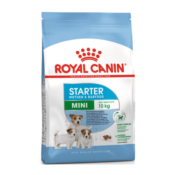 ROYAL CANIN Mini Starter 1 kg, hrană uscată pentru câini adulți de rasă mică în perioada de gestație și lactație