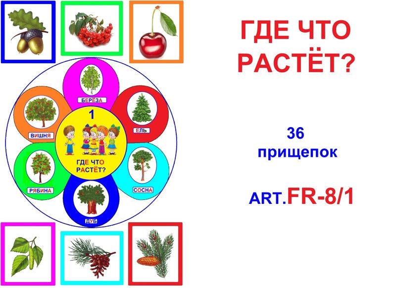 FR-8.1 Где что растет