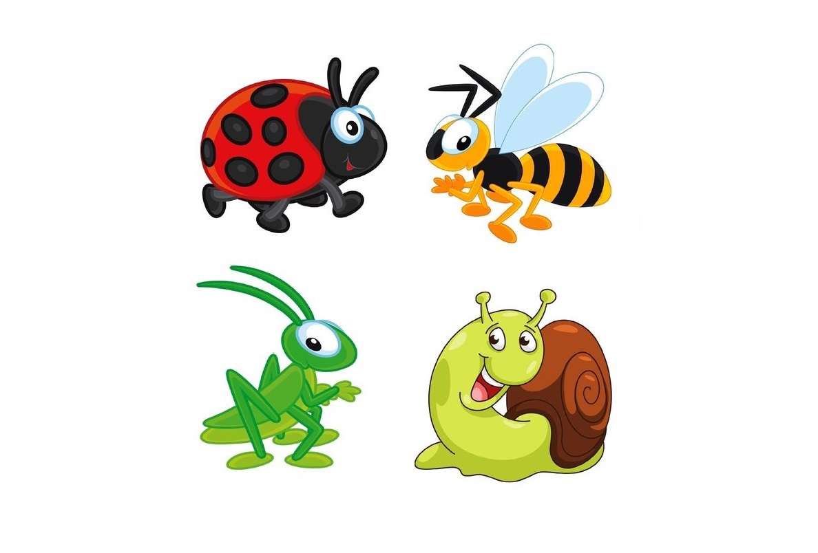 IN-3 Joc cu cleşte  Insecte