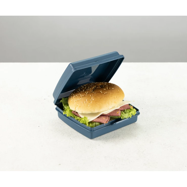 Caserola pentru sandwich To Go DecoBella