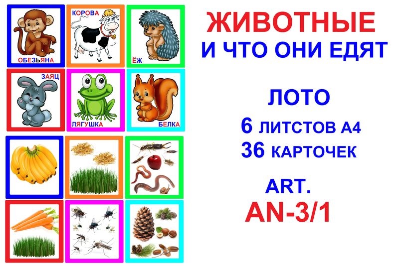 AN-3.1 Животные и что они едят