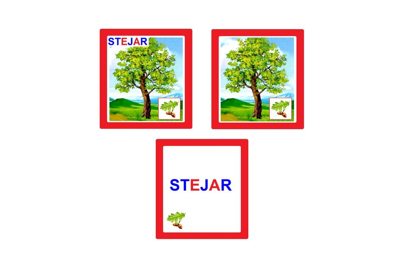 CO-4 Joc Loto Arbori (6+)