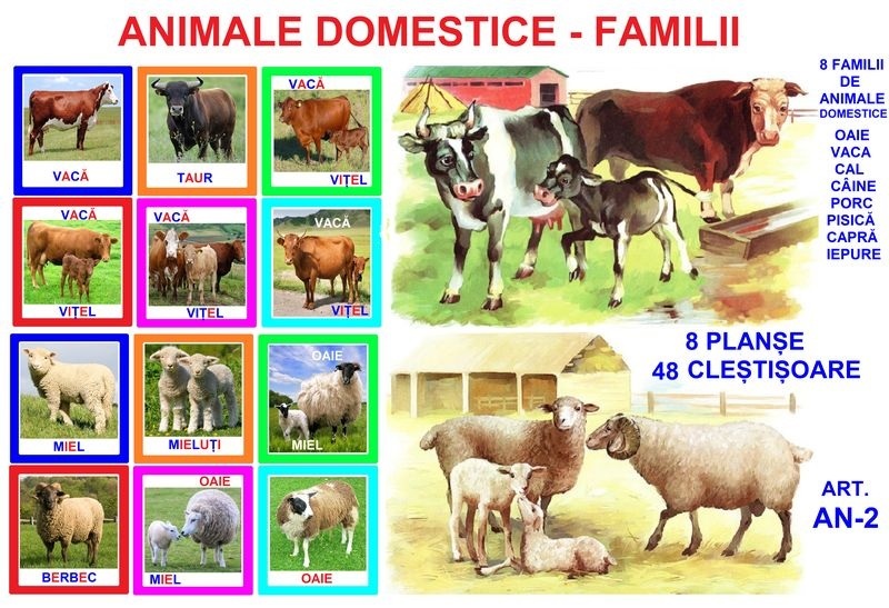 AN-2 Joc cu cleşte Animale domestice