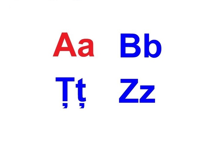 D1-11.1 Alfabetul limbii române (A4)