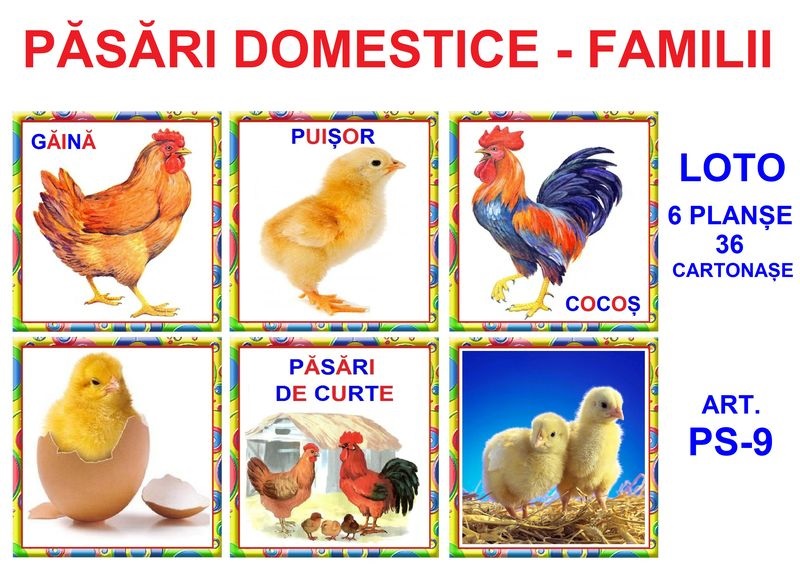 PS-9 Joc Loto Păsări domestice - Familii