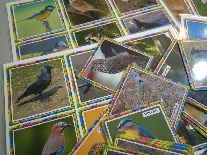 PS-1 Joc Loto Păsări călătoare şi sedentare