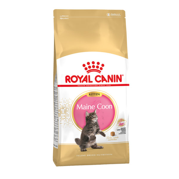 ROYAL CANIN Maine Coon Kitten 2kg,hrană uscată pentru pisoi