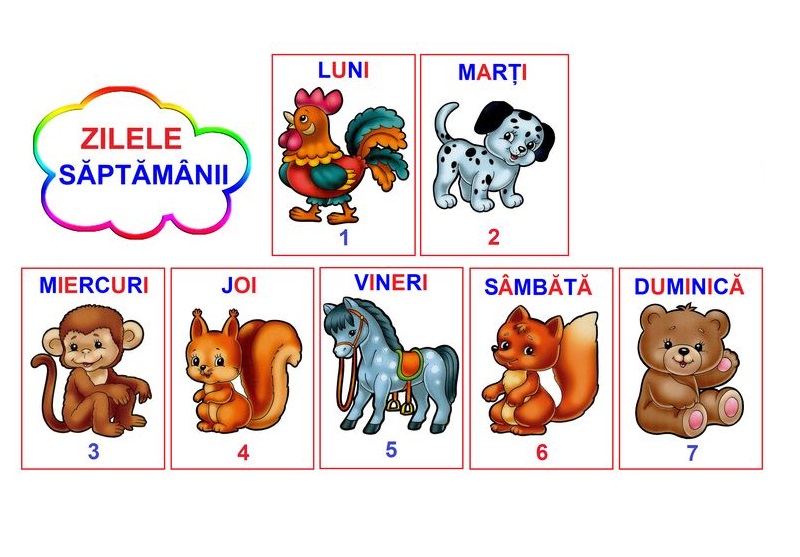 D11-6.1 Zilele săptămânii (A4)