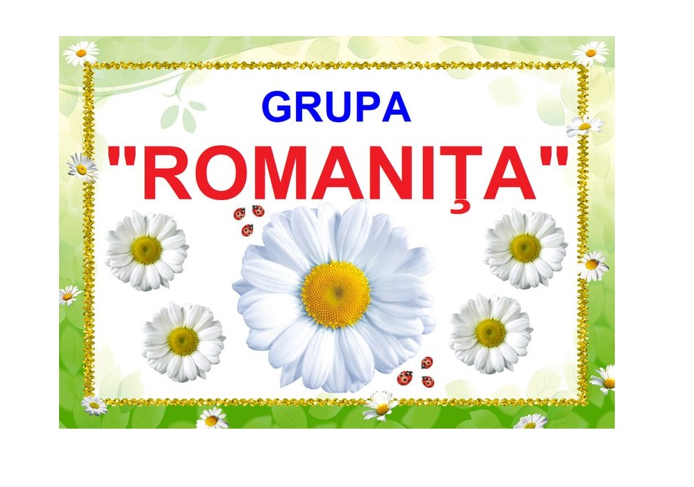 D9-48.1 Romaniţa (A3)