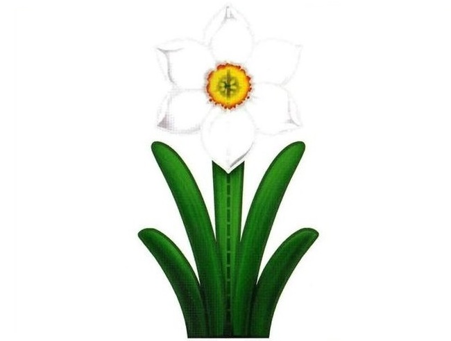 Aplicaţie 4D - Narcisă albă art.AP-13