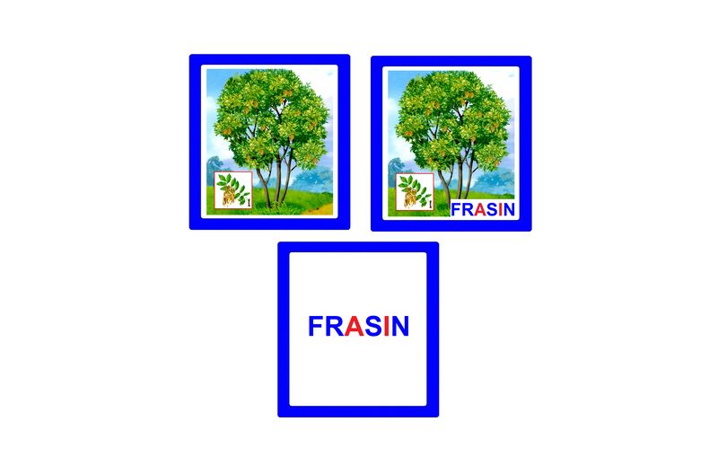 CO-7.1 Joc cu cleşte Arbori şi arbuşti (6+)