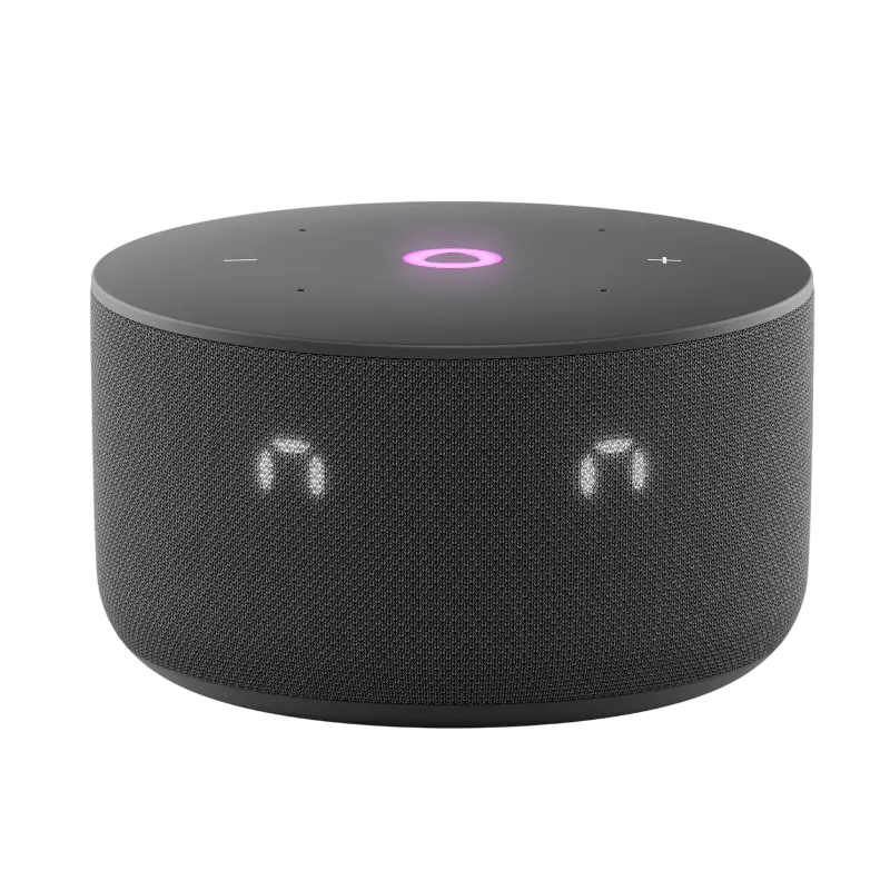 Difuzor Inteligent Yandex Station Mini 3, Negru