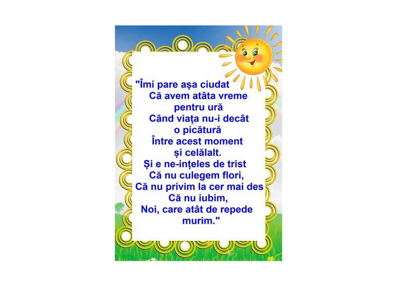 D17-C16 Citat (A3 laminat)