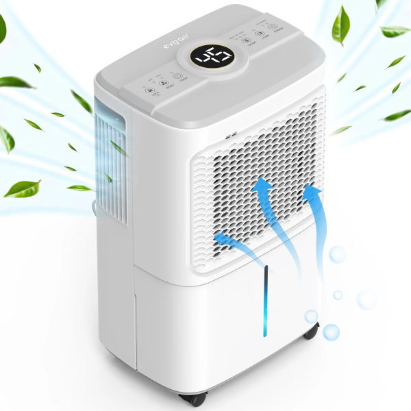 Dezumidificatorul Evoair Dryora 12 are o capacitate de dezumidificare de 12L/24h și funcționează în 3 moduri: dezumidificare clasică, continuă și uscare rufe. Are senzor de umiditate, rezervor de 1.6L și funcții smart pentru siguranță și confort.