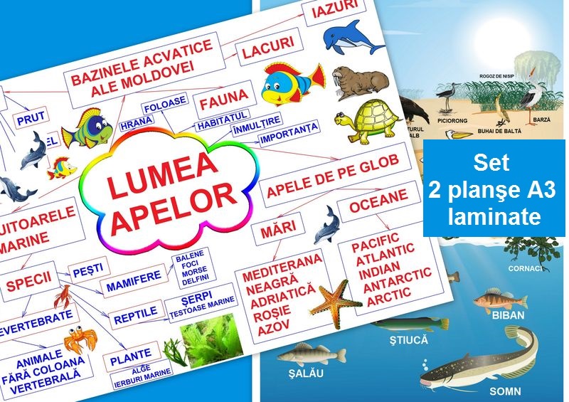 Lumea apelor PT-21