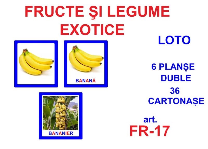 FR-17 Joc Loto Fructe şi legume exotice