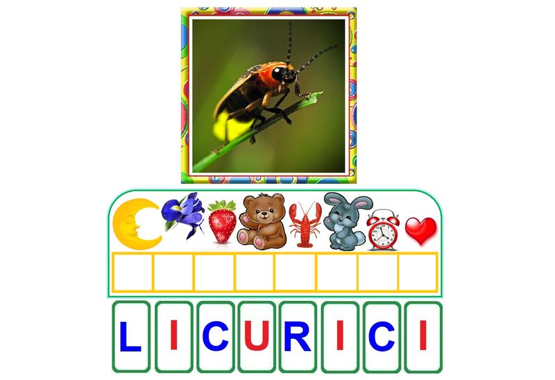 L-35 Joc cu cleşte Scrie cuvântul după 1 literă -  Insecte
