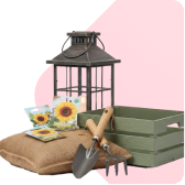 Casă, Gradina, Renovare